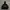 GU Streetwear Casual Windbreaker Pria black photo 1