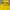 Mountain Hardwear Gorpcore Track jacket Pria yellow photo 2