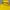 Mountain Hardwear Gorpcore Track Jacket Pria Yellow