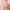 Axes Femme Vintage Summer dress Wanita pink photo 3