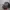 Chrome Hearts Vintage Hat Pria black photo 2