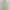 ZARA Grunge Coquette Vest Wanita green photo 2