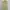 ZARA Grunge Coquette Vest Wanita green photo 1