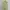 ZARA Grunge Coquette Vest Wanita Green
