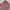 Coquette Wanita pink photo 5