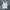 Liz Lisa Y2K Minimalist T-shirt Wanita white photo 2