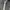 Adidas Sportswear Track jacket Pria black photo 4