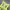 Japanese brand Y2K Grunge T-shirt Wanita green photo 2