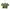 Colorbox Lolita Shirt Wanita green photo 1