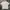 National Geographic Casual T-shirt Pria pink photo 1