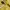 FUBU Streetwear Y2K Hoody Pria yellow photo 4