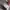 Casual Harrington jacket Pria multicolor photo 4