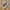 Adidas Casual Sneakers Pria gray photo 1