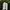 Adidas Streetwear Sportswear Sneakers Pria white black photo 4