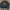 Grooverhyme Grunge Indie Bomber jacket Pria green photo 2