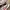 New Balance Casual Sneakers Pria multicolor photo 2