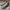 Y2K Casual Sneakers Pria white blue photo 3