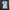 Hush Puppies Casual T-shirt Wanita Blue