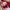 New Balance Casual Sneakers Pria white red photo 6