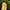 Yeezy Streetwear Sportswear Sneakers Pria white photo 4