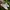 Yeezy Streetwear Sportswear Sneakers Pria White