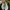 Yeezy Streetwear Sportswear Sneakers Pria White