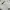 Nike Sportswear Track jacket Pria white photo 3