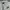 Nike Sportswear Track jacket Pria white photo 1