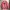 Pancoat Reworked Sweatshirt Pria Pink