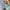 Emo Casual Wide leg jeans Wanita blue photo 2