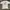 Vintage Skater T-shirt Pria white photo 2