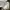 WTAPS Streetwear Casual Casual pants Pria multicolor photo 7