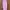 Coquette Minimalist Jumpsuit Wanita pink photo 1