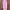 Coquette Minimalist Jumpsuit Wanita Pink