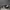 Adidas Streetwear Sportswear Sneakers Pria white black photo 1