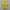 Streetwear Casual Casual shirt Pria yellow photo 1