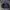 L.L.Bean Streetwear Sportswear Windbreaker Pria purple photo 1