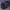 L.L.Bean Streetwear Sportswear Windbreaker Pria purple photo 2