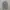 Marmot Casual Casual shirt Pria gray photo 4