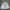 Y2K Sportswear Jersey Pria white photo 1