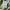 The North Face Sportswear Casual Midi dress Wanita multicolor photo 6