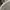 Japanese brand Grunge Goth Wanita white black photo 5