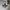 Adidas Casual Hoody Pria white black photo 1