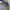 Skater Sportswear Track jacket Pria navy gray photo 6