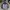 Skater Sportswear Track jacket Pria navy gray photo 2