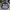 Skater Sportswear Track jacket Pria navy gray photo 3