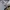 Skater Sportswear Track jacket Pria navy gray photo 7