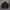 Nike Streetwear Sportswear Windbreaker Pria black photo 1