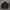 Nike Streetwear Sportswear Windbreaker Pria Black