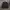 Nike Streetwear Sportswear Windbreaker Pria black photo 3